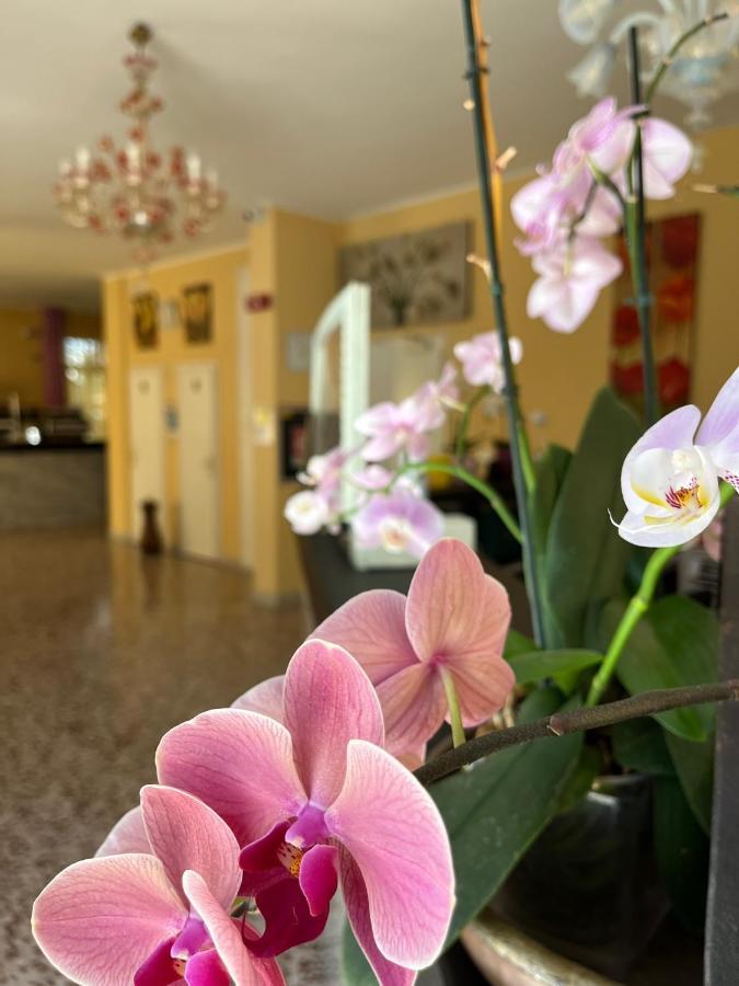 Astor Hotel 2*